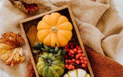 Autumn Playdough Mats: Your Go To Mats for Fall Fine Motor Fun
